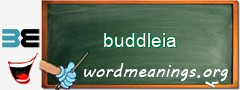 WordMeaning blackboard for buddleia